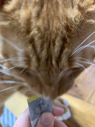 엉딩이궁딩이님이 올린 리뷰 사진 4