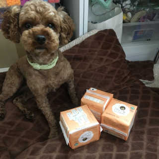 영주맘님이 올린 리뷰 사진 3