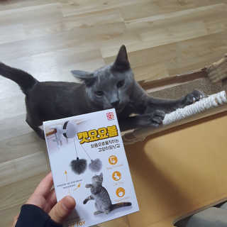 집수닝님이 올린 리뷰 사진 2