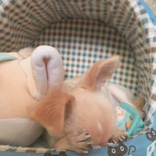 이아림님이 올린 리뷰 사진 3