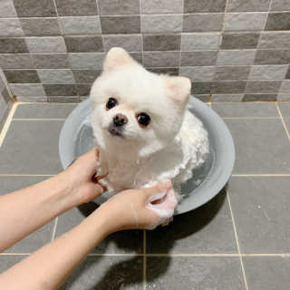 보라미90님이 올린 리뷰 사진 2