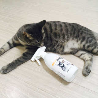 isb1197님이 올린 리뷰 사진 1