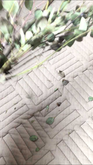거져줄께잘사가님이 올린 리뷰 사진 2