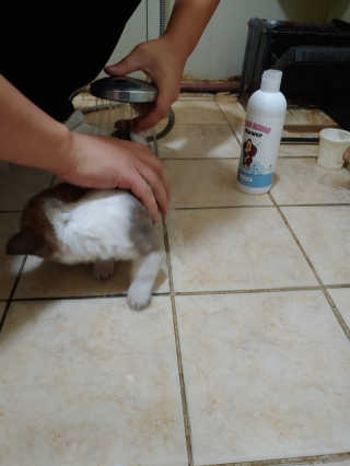 차차롭다님이 올린 리뷰 사진 1