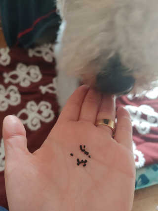 하루콩콩님이 올린 리뷰 사진 3