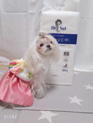 뚱이땅콩맘님이 올린 리뷰 사진 1