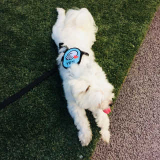 당근님이 올린 리뷰 사진 2