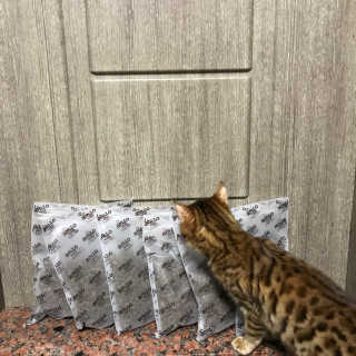 뚠희님이 올린 리뷰 사진 3