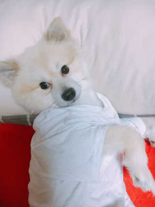 은세님이 올린 리뷰 사진 2