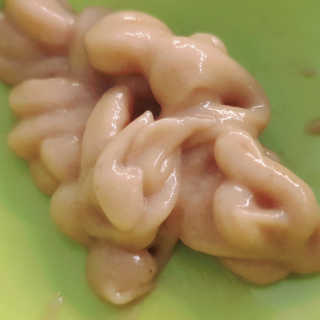 펫토리아 짜먹는 토로토로 고양이 파우치 간식 — 5점을 준 리뷰어가 2019년 6월 올린 사용 사진