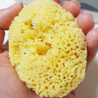 Susu님이 올린 리뷰 사진 2