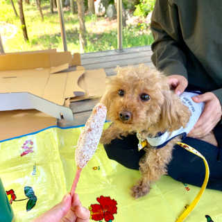 현님님이 올린 리뷰 사진 2