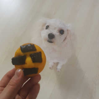주여니이님이 올린 리뷰 사진 3