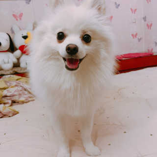 수진이님이 올린 리뷰 사진 3