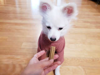 YouReena님이 올린 리뷰 사진 3