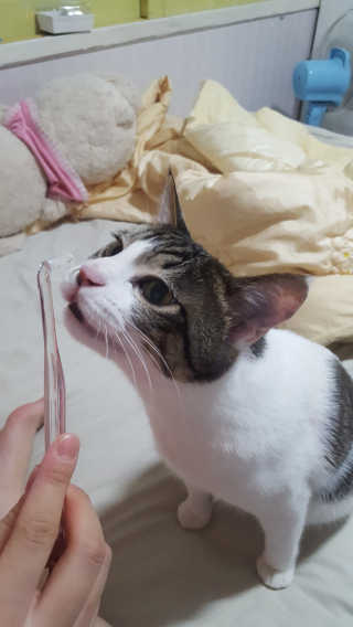 은지은지은지은지님이 올린 리뷰 사진 1