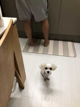 모모님이 올린 리뷰 사진 2
