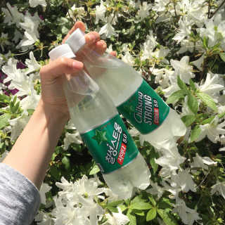 은치치님이 올린 리뷰 사진 2