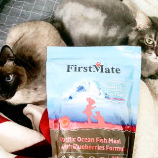 [펫토리아] 퍼스트메이트 고양이 사료 — 5점을 준 리뷰어가 2019년 3월 올린 사용 사진