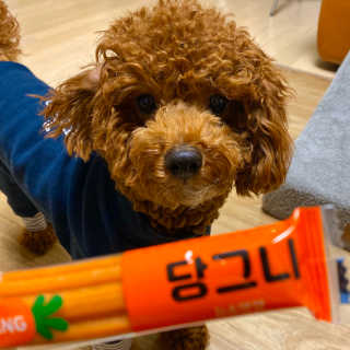 포뇨님이 올린 리뷰 사진 1