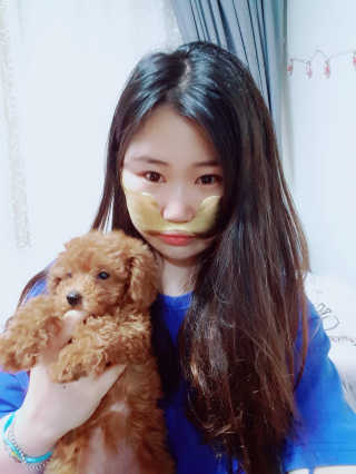 [스케덤] 상악밴드 — 3점을 준 리뷰어가 2019년 6월 올린 사용 사진