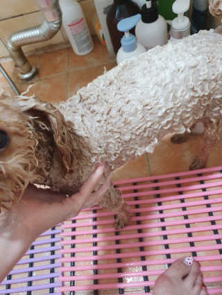 여신님이 올린 리뷰 사진 4