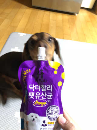 닥터할리펫밀크 8종 — 5점을 준 리뷰어가 2020년 1월 올린 사용 사진