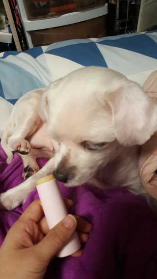 손수연님이 올린 리뷰 사진 2