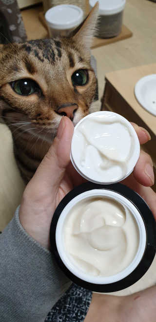 김진영님이 올린 리뷰 사진 2