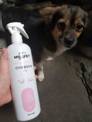 꽃수니어니님이 올린 리뷰 사진 3