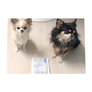 은쓸님이 올린 리뷰 사진 2