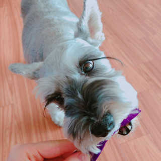 Yanyan님이 올린 리뷰 사진 4