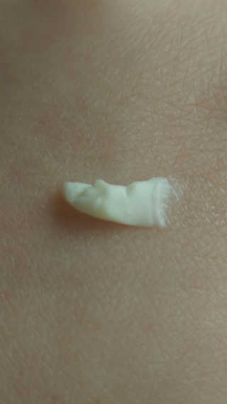 사랑스런초딩님이 올린 리뷰 사진 2