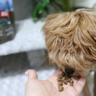 은찡님이 올린 리뷰 사진 3