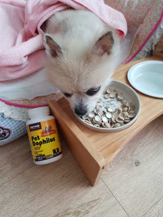 이엘리사님이 올린 리뷰 사진 3