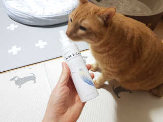 [펫토리아] 뚝딱케어 강아지 고양이 샴푸+미스트 SET — 5점을 준 리뷰어가 2020년 2월 올린 사용 사진