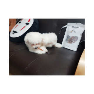 정은님이 올린 리뷰 사진 2