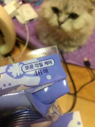 이영실님이 올린 리뷰 사진 2