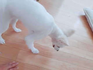 큐티윤님이 올린 리뷰 사진 2