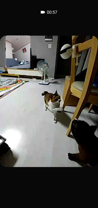 쮸동비님이 올린 리뷰 사진 2