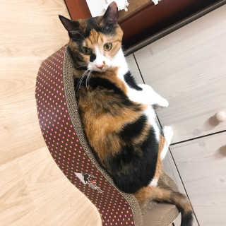 예콩님이 올린 리뷰 사진 4