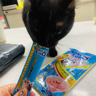 한비님이 올린 리뷰 사진 2