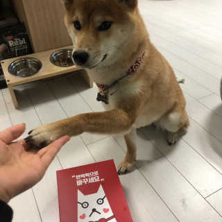 뚜비두밥님이 올린 리뷰 사진 3