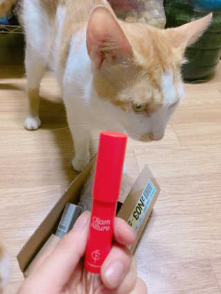 포렌코즈 글램 얼루어 립 크레용 — 4.67점을 준 리뷰어가 2017년 7월 올린 사용 사진