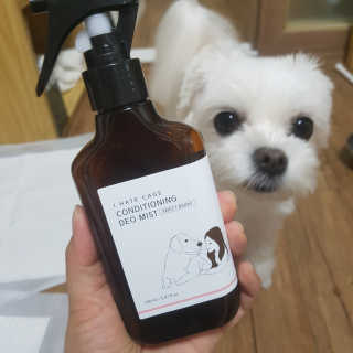 뽀오오옹님이 올린 리뷰 사진 2