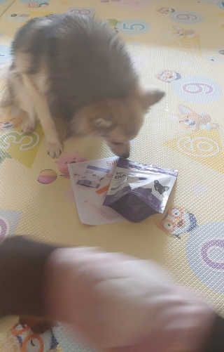 냐냐냥님이 올린 리뷰 사진 3
