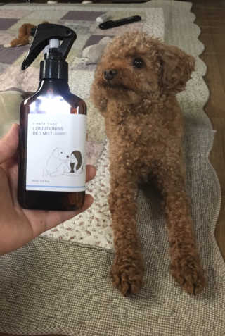스마일님이 올린 리뷰 사진 2