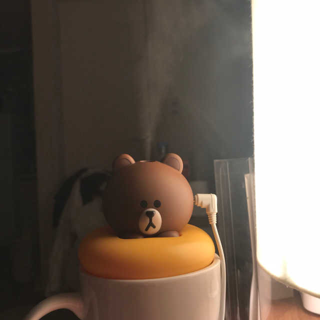 라인프렌즈 USB 미니가습기 리뷰 사진