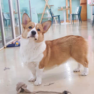 보리님이 올린 리뷰 사진 2