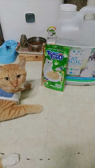 토토님이 올린 리뷰 사진 3